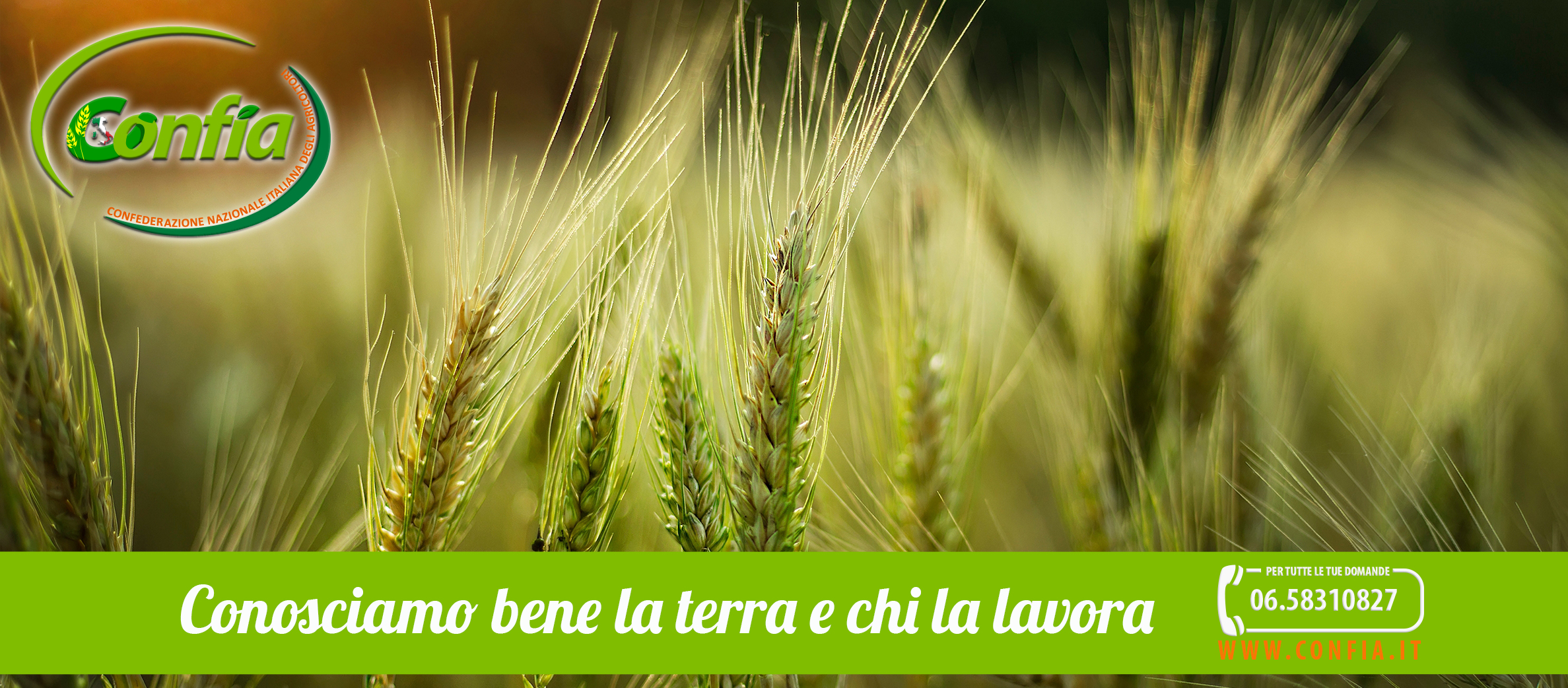 slide confia foto presa da freepik.psd-1